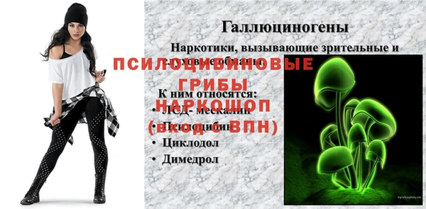 индика Верхний Тагил