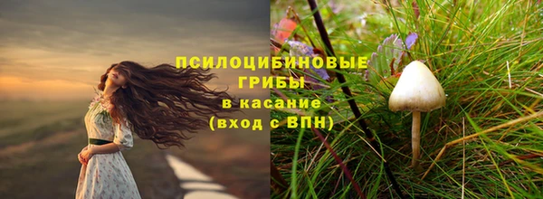 мет Верея