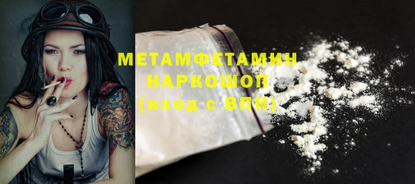 индика Верхний Тагил